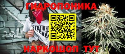 прущие грибы Ставрополь
